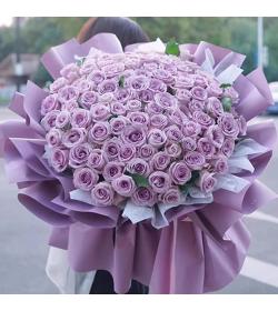 鲜花：相爱到永远 66枝紫玫瑰