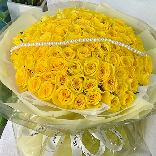 鲜花：玫瑰的故事 66枝黄玫瑰