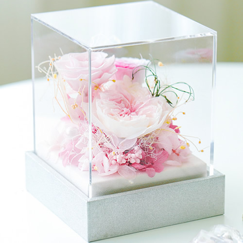 永生花：浪漫叙事 粉色款