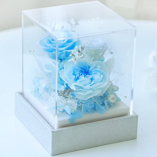 永生花：浪漫叙事 蓝色款