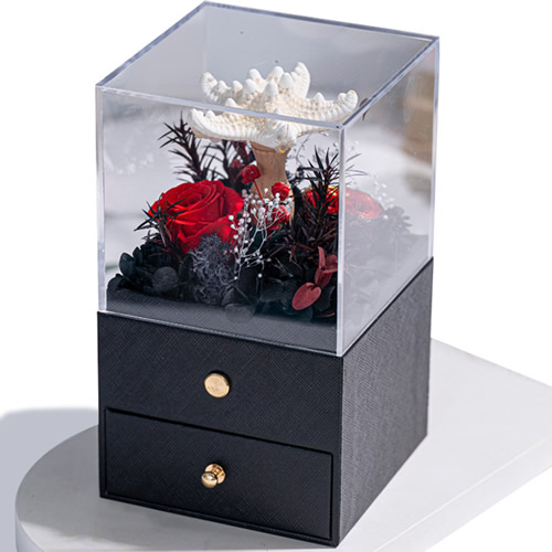 永生花：海星小夜灯 黑色款