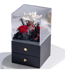 永生花：海星小夜灯 黑色款