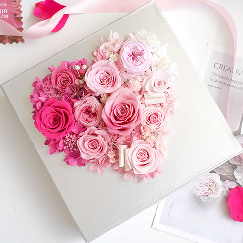 永生花：仲夏 弗洛伊德 粉色款