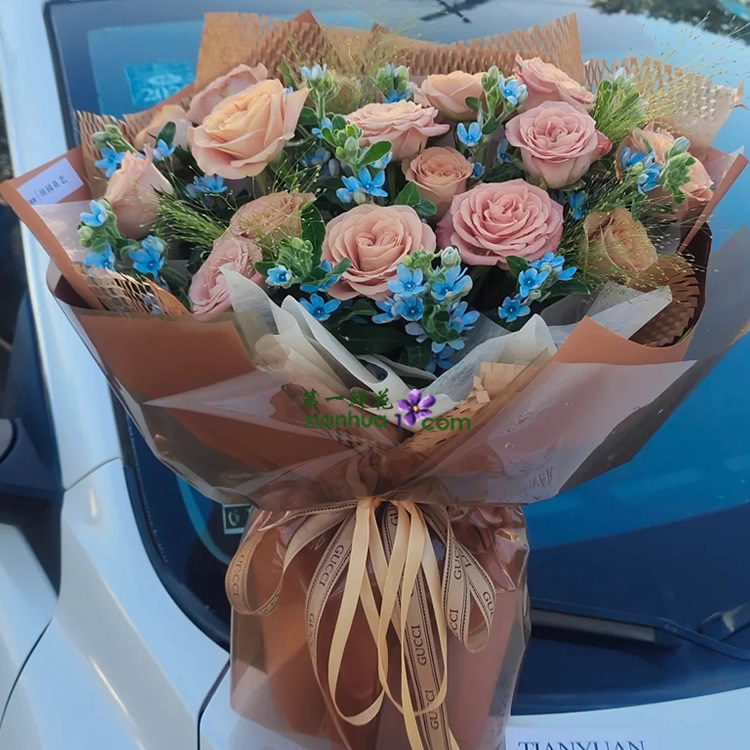 18枝卡布奇诺玫瑰，蓝星花、喷泉草搭配