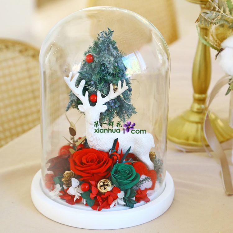 圣诞树、麋鹿，永生玫瑰玻璃罩