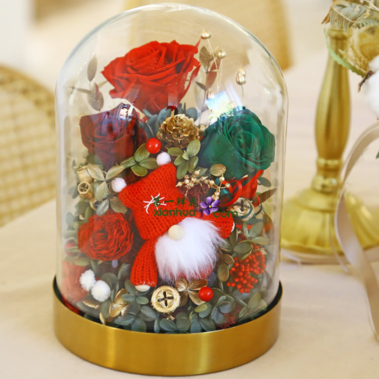 圣诞快乐永生花 红色款 玻璃罩