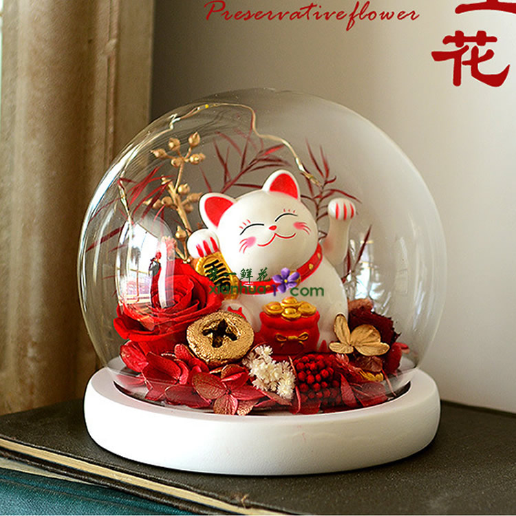 招财猫小可爱 永生花 玻璃罩