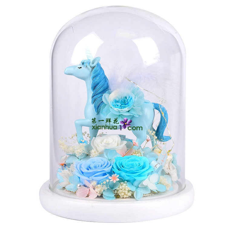 蓝色独角兽 永生花 玻璃罩