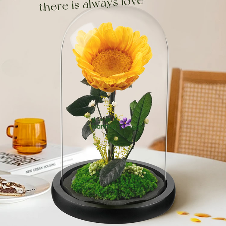 1朵向日葵 永生花 玻璃罩