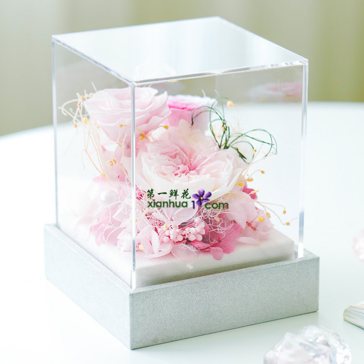 浪漫叙事 粉色款