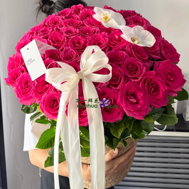 52枝弗洛伊德玫瑰，2朵白色蝴蝶兰，丝带花结装饰，栀子叶