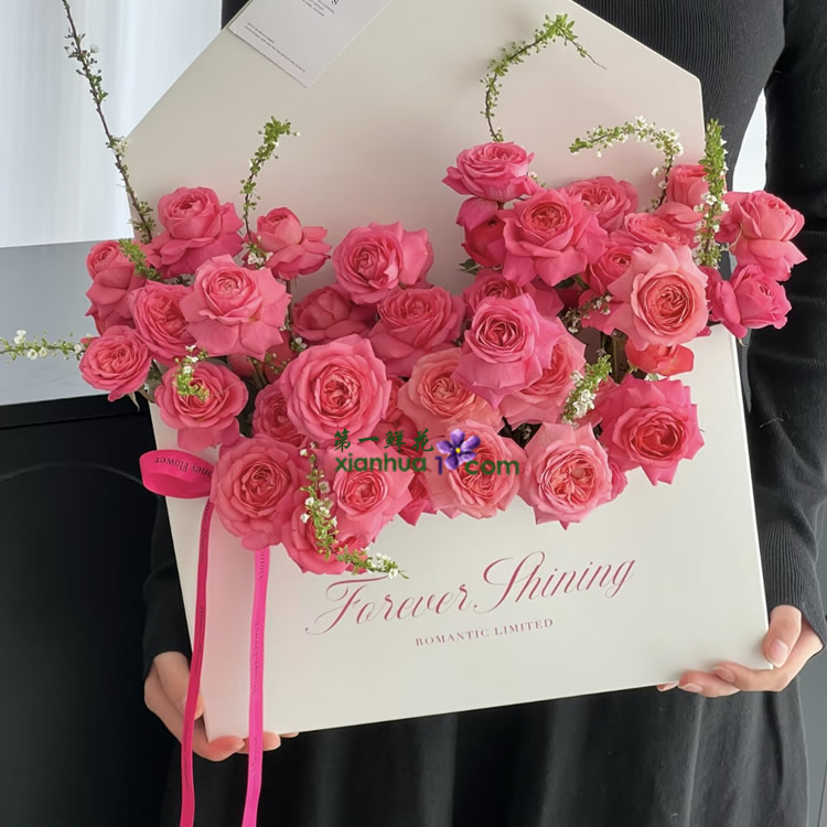 苏菲宝贝多头玫，雪柳