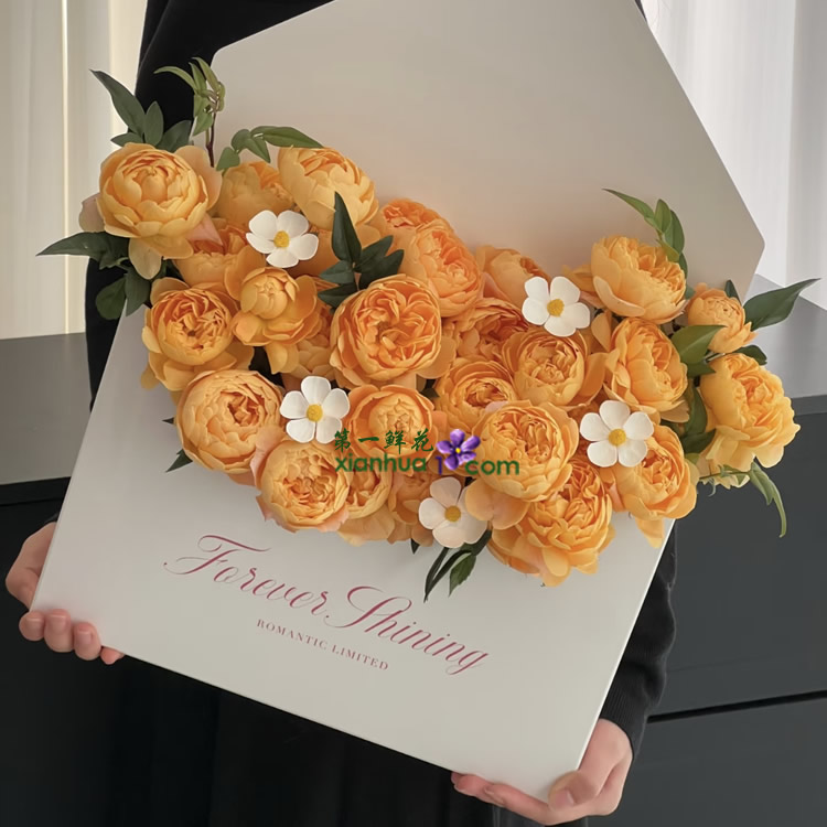 果汁阳台多头玫，白色紫罗兰，九星叶